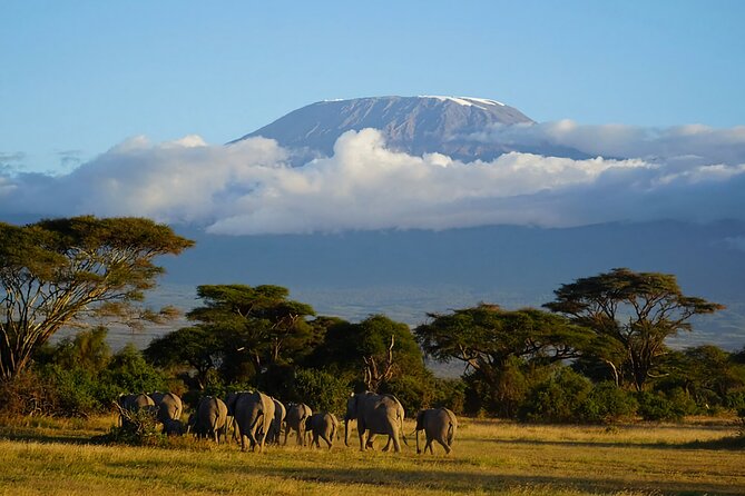 3day Amboseli Park Private safari - What the private vehicle changes