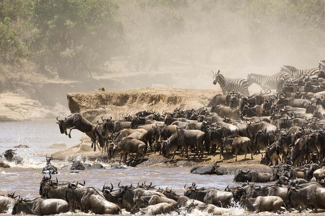 3days/2nights group joining Masai Mara with Masai Village Visit - The full second day across Masai Mara