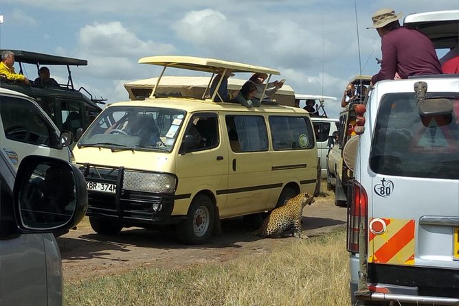 3days/2nights group joining Masai Mara with Masai Village Visit - What the strongest praise tells you