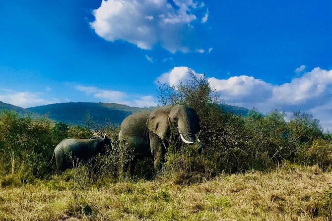 3days/2nights group joining Masai Mara with Masai Village Visit - Who should book this three-day Mara trip?