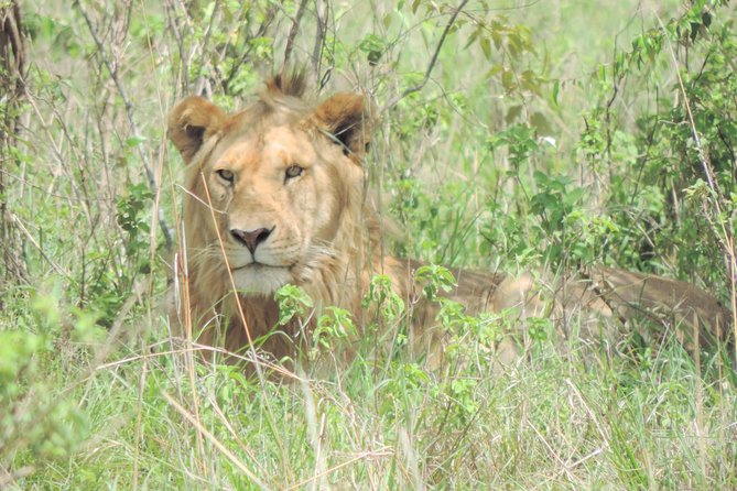 4-Day Adventure to Lake Nakuru & Maasai Mara - Why Lake Nakuru makes a smart first stop