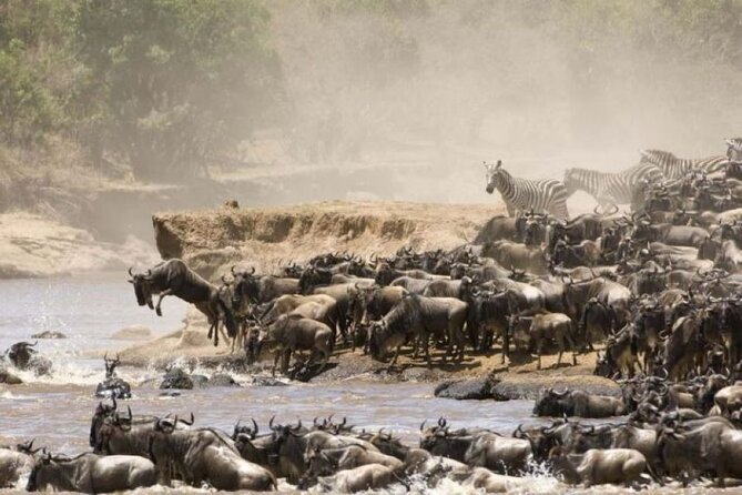 4-Day Group Safari to Maasai Mara & Lake Nakuru- 4 x 4 jeep - Day 1: Nairobi, the Rift Valley, and a first Mara drive