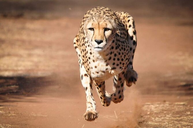 4 Day Group Tour to Maasai Mara and Lake Nakuru by a 4WD Cruiser - A full day in Maasai Mara and the Mara River