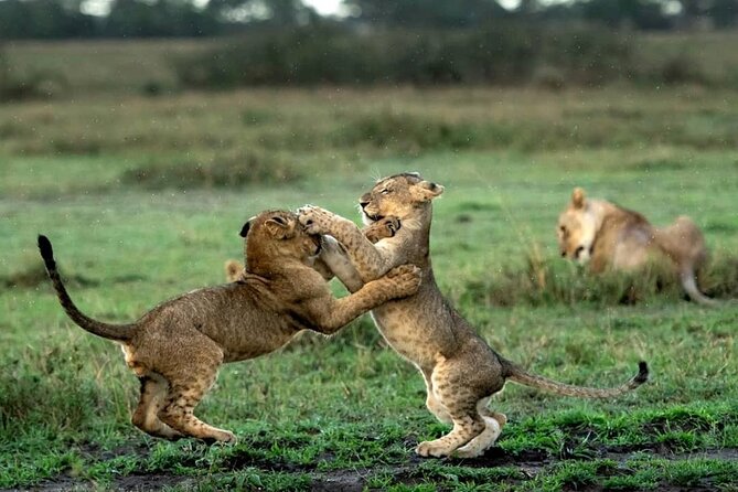 4 Day Group Tour to Maasai Mara and Lake Nakuru by a 4WD Cruiser - Three hours at Lake Nakuru National Park