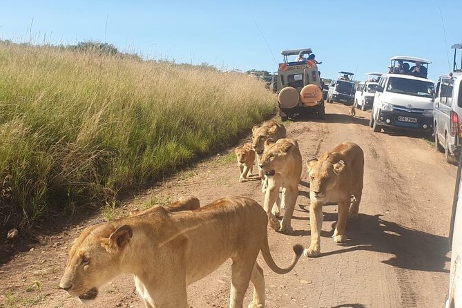 4 Day Group Tour to Maasai Mara and Lake Nakuru by a 4WD Cruiser - Booking advice and cancellation terms