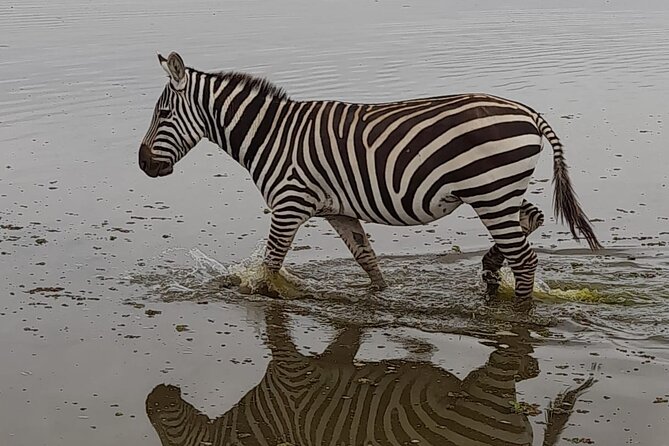 4-Day Masai Mara and Lake Nakuru Jeep Safari - Why this four-day route works