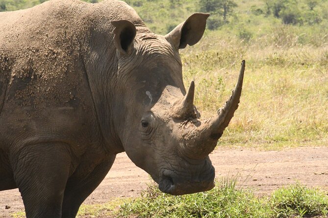 4-Day Masai Mara and Lake Nakuru safari from Nairobi. - Lake Nakuru, flamingos, and rhino country
