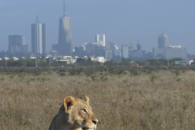 4-Day Masai Mara and Lake Nakuru safari from Nairobi. - Meals, lodging, and the $1,200 price