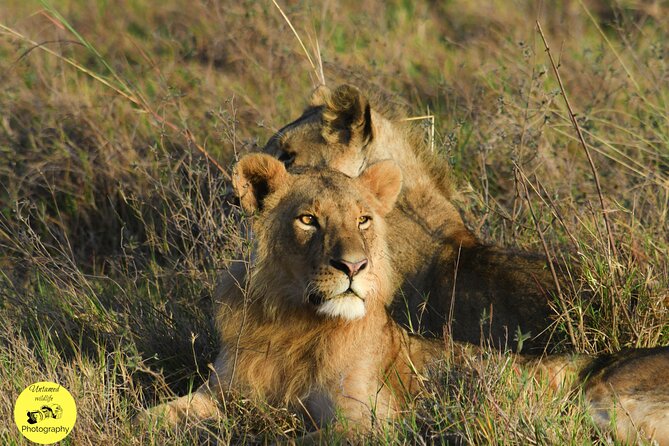 4-Day Masai Mara and Lake Nakuru safari from Nairobi. - Who will enjoy this four-day route