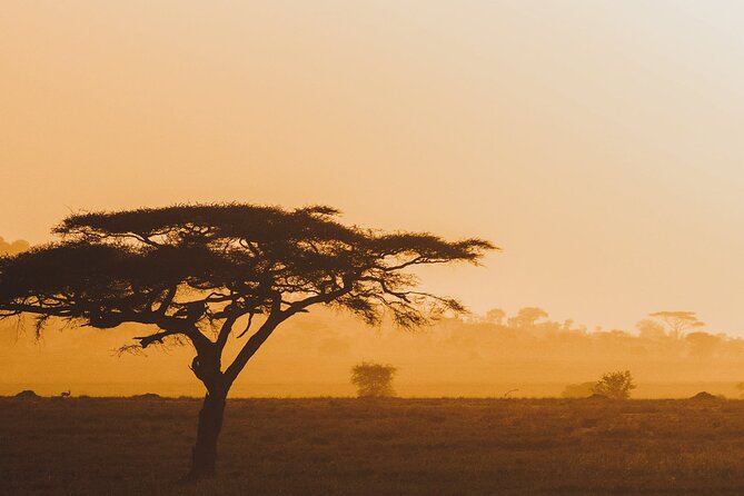 4-Day Masai Mara and Lake Nakuru Safari Tour from Nairobi - Why Masai Mara makes this four-day trip worthwhile