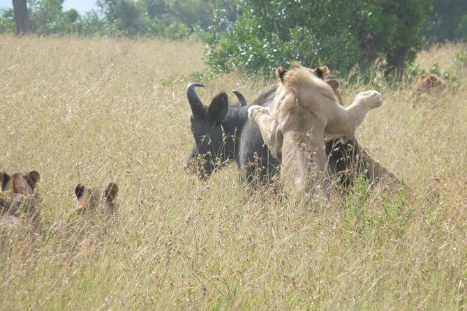 4-Day Masai Mara Big Five Safari - Camp time and optional Maasai activities