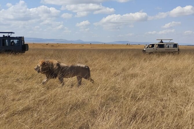 4-Day Masai Mara, L Naivasha and L Nakuru Safari - Four days from Nairobi to the Masai Mara