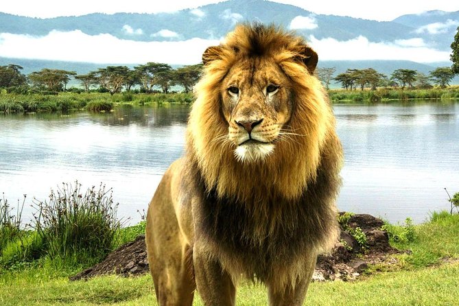 4 Day Masai Mara & Lake Nakuru Group Joining Camping Safari - Daily Departures - Day 2: A full Mara day beside the river