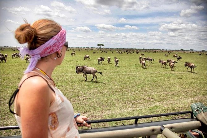 4 Day Masai Mara & Lake Nakuru Group Joining Camping Safari - Daily Departures - Day 4: Rhinos, flamingos, and the return to Nairobi
