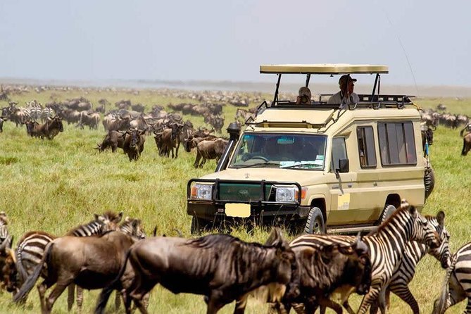 4 Day Masai Mara & Lake Nakuru Group Joining Camping Safari - Daily Departures - Day 1: The Great Rift Valley and an evening in Maasai Mara