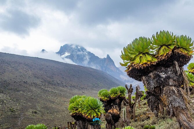4 Day Mount Kenya Trek Up Chogoria Down Sirimon - Day 4: Sunrise, summit, and the Via Ferrata