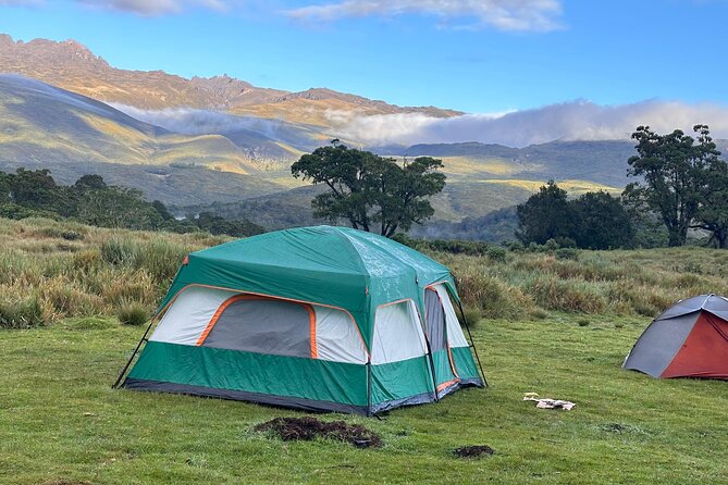 4 Day Mount Kenya Trek Up Chogoria Down Sirimon - Who should book this trek