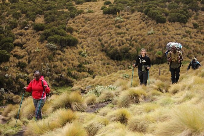 4-Day Mount Kenya Trekking with Pick Up - Day 2: The long climb from Old Moses to Shipton’s