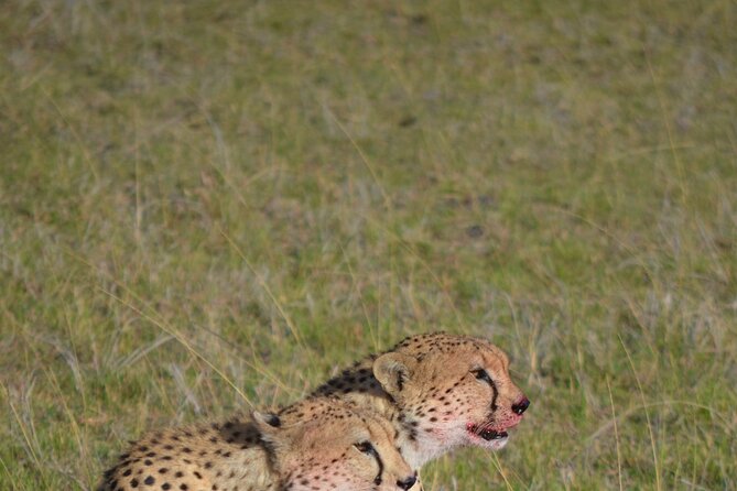 4 Day Private Lake Naivasha and Maasai Mara Safari Adventure - Why this four-day route works