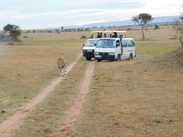 4 Day Private Masai Mara National Reserve & Lake Nakuru National Park Safari - Why this Kenya safari works in four days