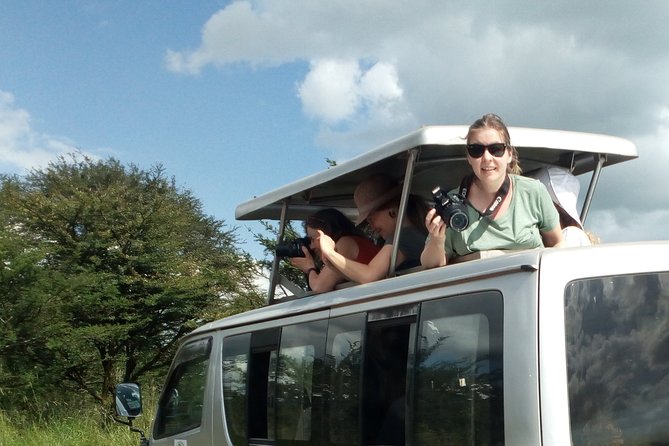 4-Day Tsavo East West and Amboseli National Park from Mombasa - Day 4: A final game drive toward Nairobi