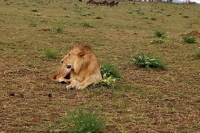 4-Day Tsavo East West and Amboseli National Park from Mombasa - What the $1,012.50 price includes