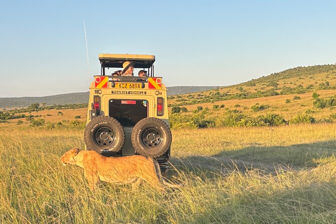 4 Days 4WD Private Maasai Mara, Nakuru Parks with Lodge LUXURY - Day 2: Ten hours in Maasai Mara