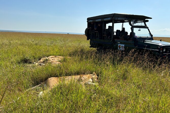 4 Days 4WD Private Maasai Mara, Nakuru Parks with Lodge LUXURY - Day 3: Maasai culture, Mai Mahiu, and Lake Nakuru
