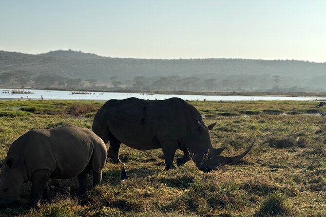 4 Days 4WD Private Maasai Mara, Nakuru Parks with Lodge LUXURY - Day 4: Your choice of breakfast or one last drive