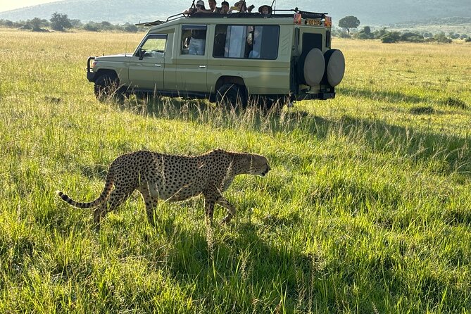 4 Days 4WD Private Maasai Mara, Nakuru Parks with Lodge LUXURY - Day 1: Your first Mara game drive