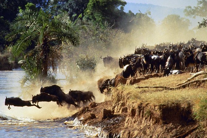4 days group joining budget safari to Maasai Mara only - What the $397 price really covers