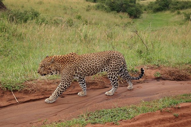 4 days group joining budget safari to Maasai Mara only - Day 1: The Great Rift Valley and your first Mara drive