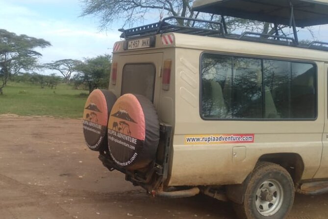 4 Days Kenya Safari - Day 3: One last Mara drive, then toward Lake Nakuru