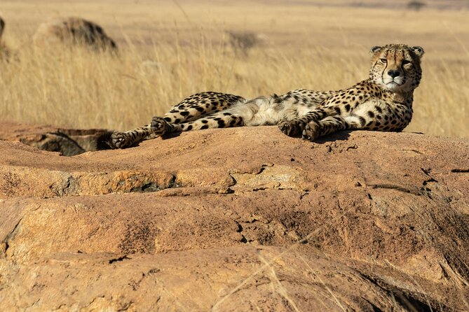 4 Days Lake Nakuru and Masai Mara Luxury Safari - Key details that shape the safari