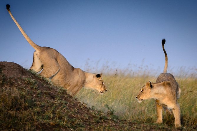 4 Days Masai Mara and Lake Nakuru Budget Safari Meals included - Lake Nakuru and the search for rhinos