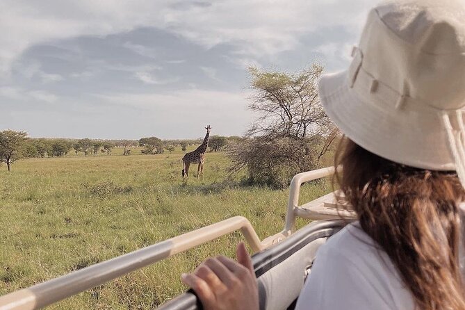 4 Days Masai Mara and Lake Nakuru Mid-Luxury safari - Day 1: Nairobi to Lake Nakuru and an afternoon among rhinos