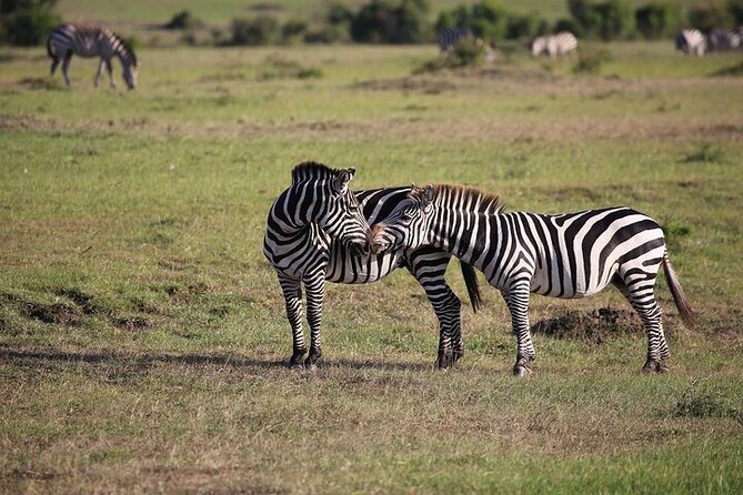 4 Days Masai Mara and Lake Nakuru Shared Camping Safari - The transfer to Lake Nakuru