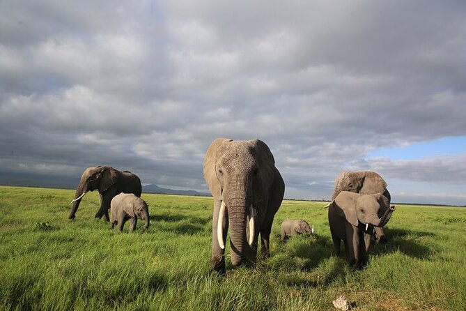 4 Days Masai Mara and Lake Nakuru Shared Camping Safari - The tradeoffs you should understand