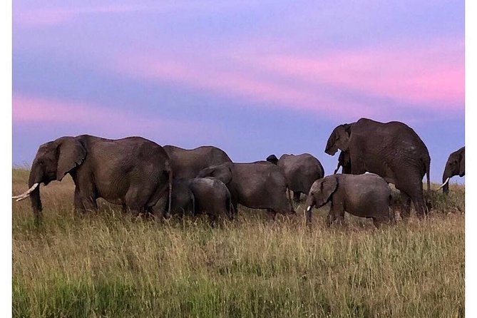 4 Days Masai Mara/Lake Nakuru Budget Safari - Day 1: Nairobi to Masai Mara via the Great Rift Valley