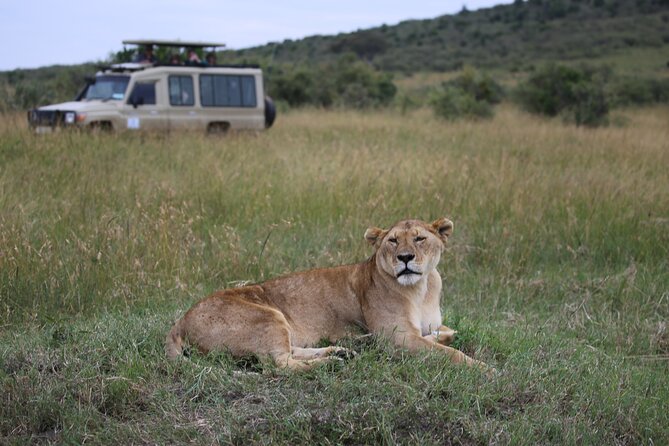 4 Days Masai Mara Lake Nakuru Jeep Safari - The big picture: two parks, four days, one busy road trip