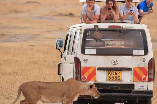 4 Days Masai Mara Lake Nakuru Jeep Safari - Day 2: Eight hours across the Mara Triangle