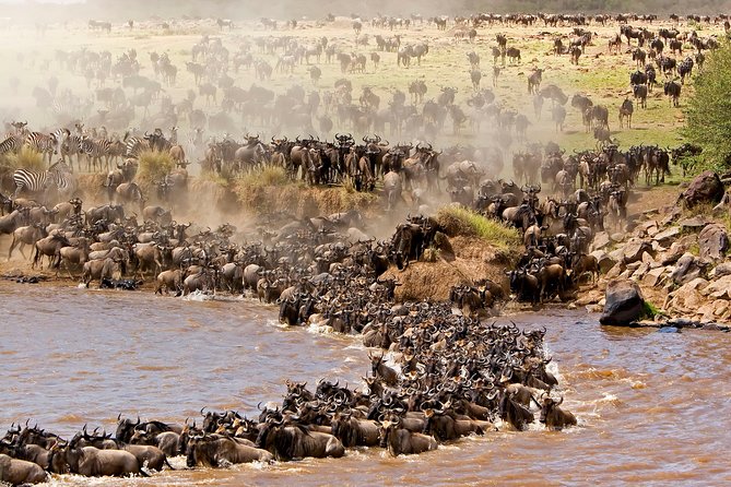 4 days masai mara Nakuru Joining safari - Joining safari comfort and group size