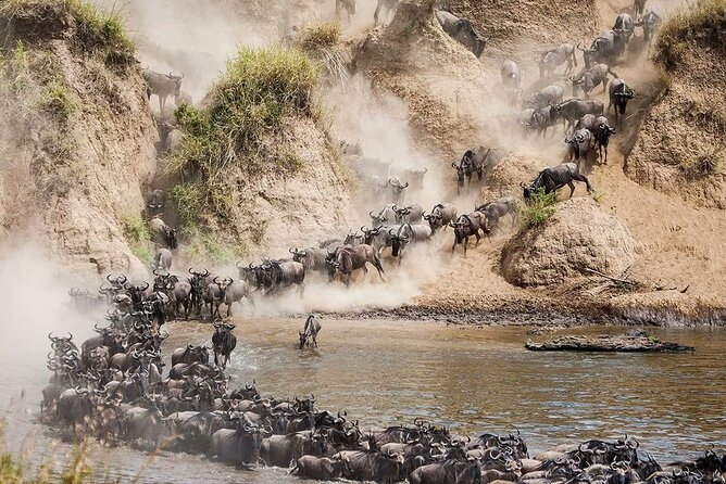 4 Days Mid Luxury Safari, Lake Nakuru and Masai Mara. - Returning to Nairobi on Day 4