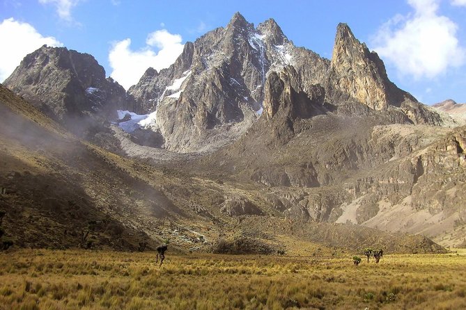 4 Days Mount Kenya Trekking - Key points to know before booking