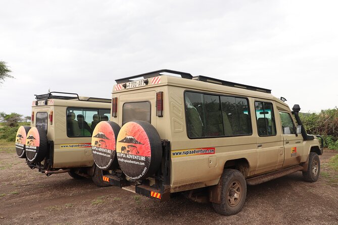 4 Days Mount Kenya Trekking - Day four: rainforest descent and return to Nairobi