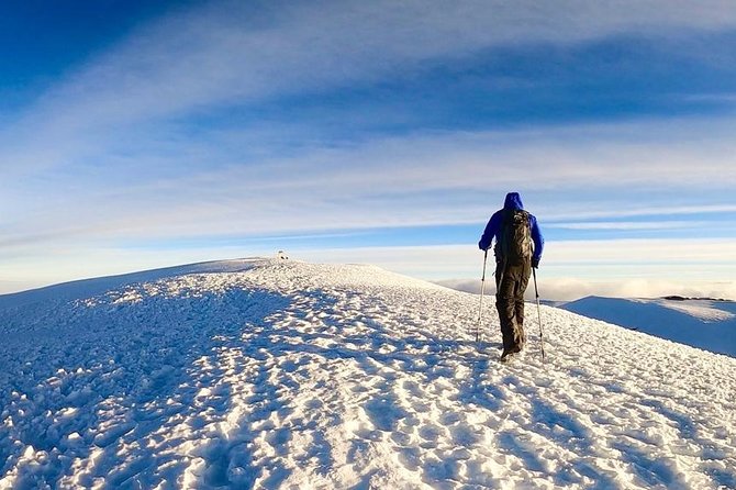 4 Days Mount Kenya Trekking - Day two: Moorland and Mackinders Valley