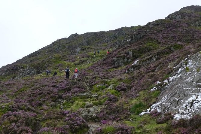 4 Days Mount Kenya - Key points at a glance