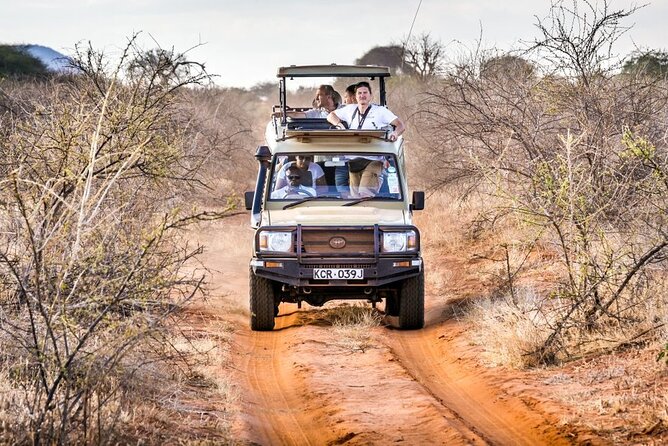 4 Days Private Safari Tour Tsavo and Amboseli from Nairobi - Key points to know before booking