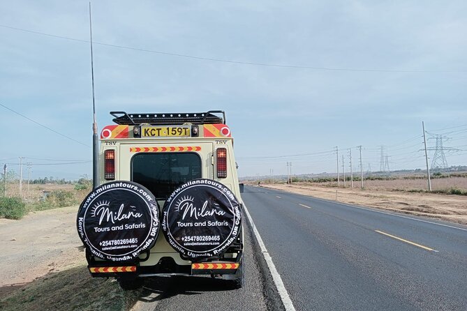 4 Days Private Safari Tour Tsavo and Amboseli from Nairobi - Day 4: A final Amboseli morning before Nairobi