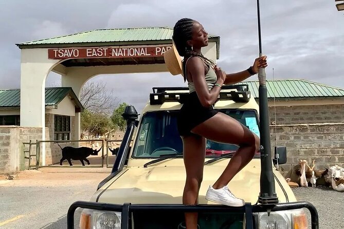 4 Days Private Safari Tour Tsavo and Amboseli from Nairobi - What the private Land Cruiser changes
